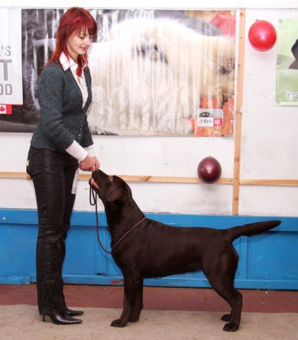 phoca_thumb_l_holsteps_april_smile21