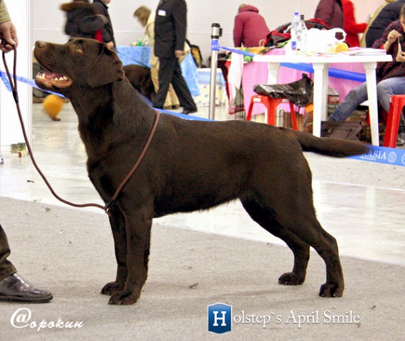 phoca_thumb_l_holsteps_april_smile22