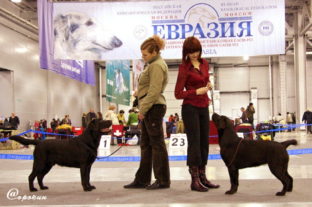 phoca_thumb_l_holsteps_april_smile28