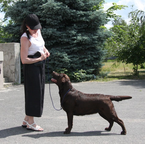 phoca_thumb_l_img_0149
