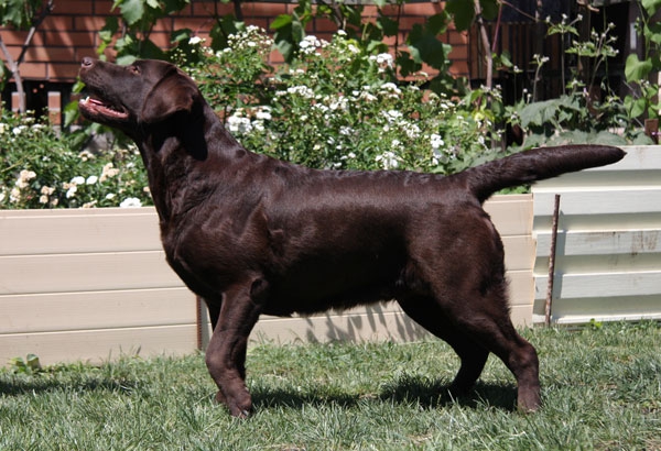 phoca_thumb_l_img_0455