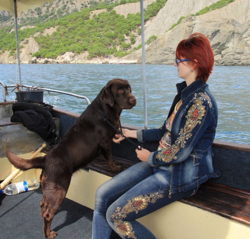 phoca_thumb_l_1175070_n