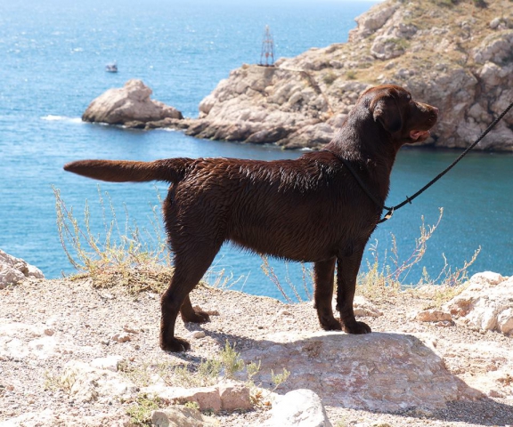phoca_thumb_l_555339_n