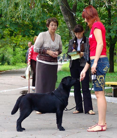 phoca_thumb_l_dsc03000