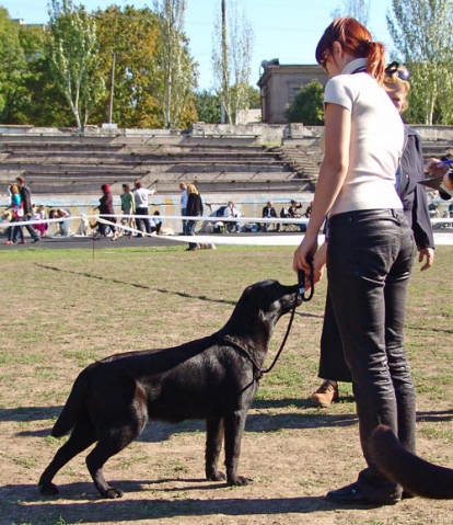 phoca_thumb_l_dsc03348