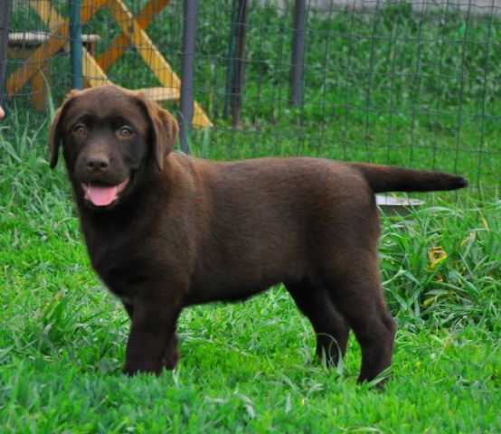 phoca_thumb_l_dsc_0572