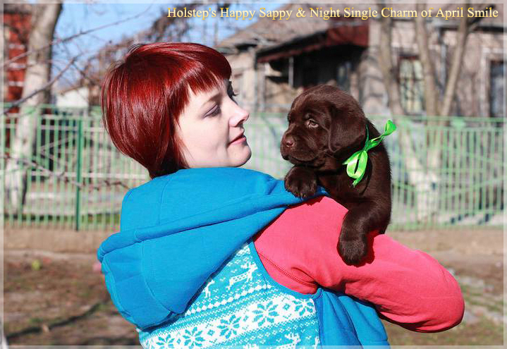 puppies_sappy_lala29