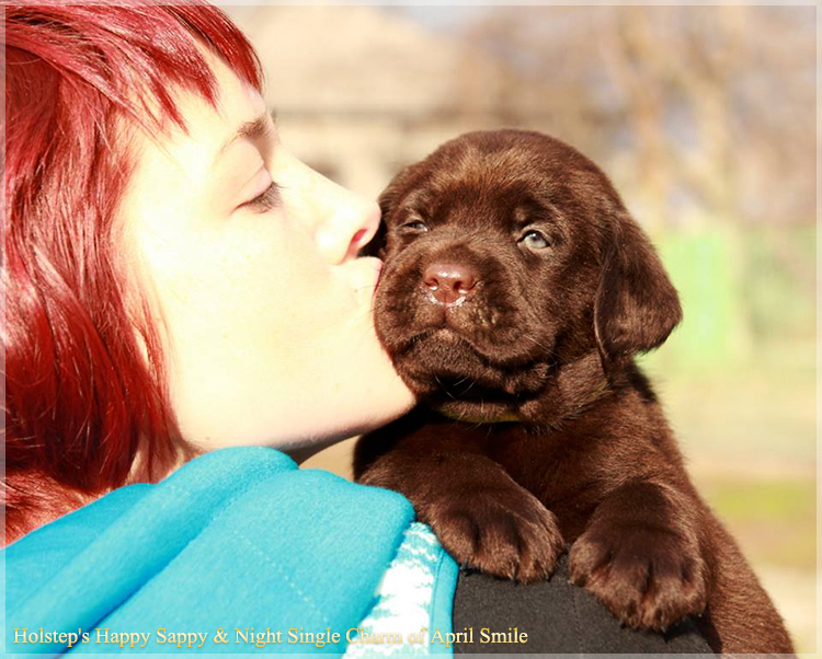 puppies_sappy_lala30