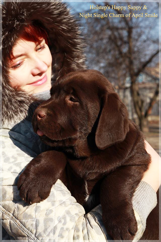 puppies_sappy_lala61