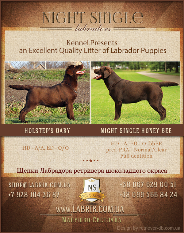 puppies_silva_oaky1